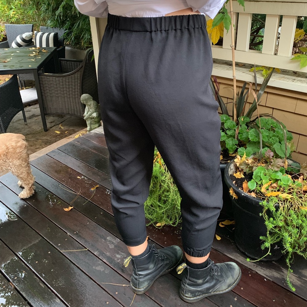 babaton dexter pant